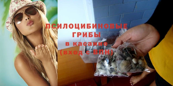 ECSTASY Кукмор