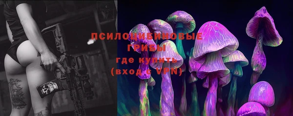 эйфоретик Баксан