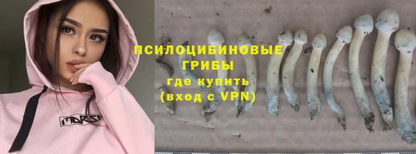 эйфоретик Баксан