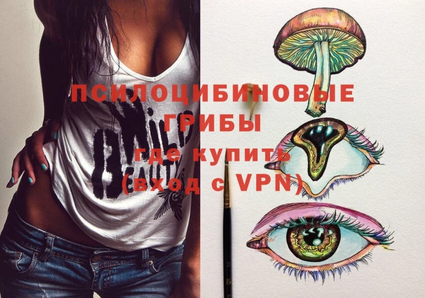 твердый Балахна